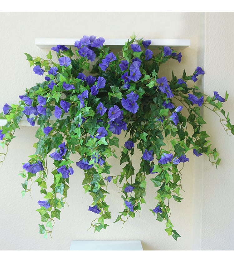 BloomVista™ — Effortless, Vibrant Blooms That Brighten Every Moment