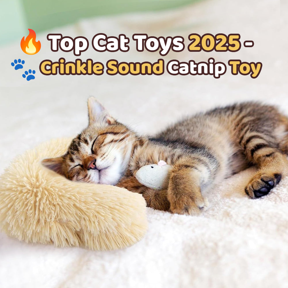 HappyPaw – Play, Fun & a Happy House Cat!