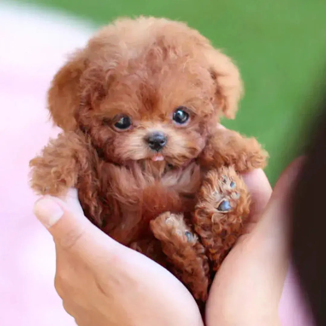 SnugglePup™ — Experience Heartwarming Puppy Love Without the Hassle
