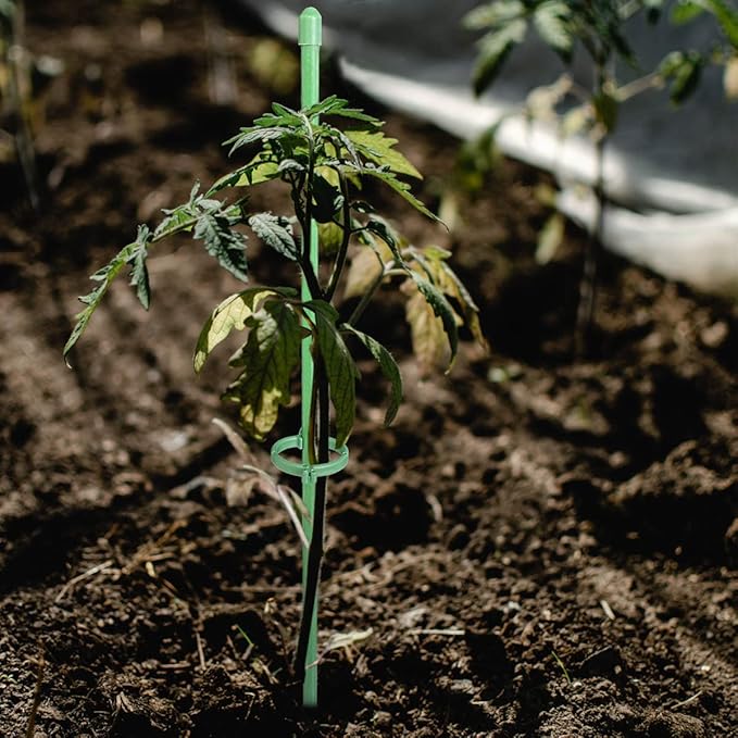 StellaStem™ — Rock-Solid Support for Plants That Rise Strong and Proud