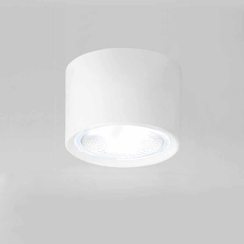 LED Cylinder Ceiling Spotlight