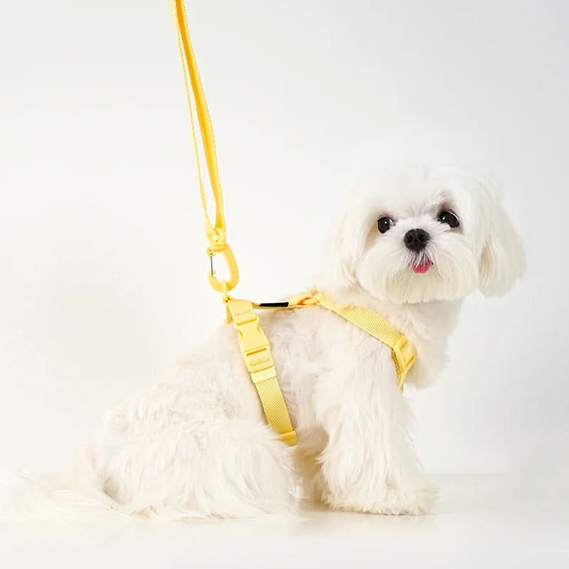 Reflective Pet Leash and Harness Set