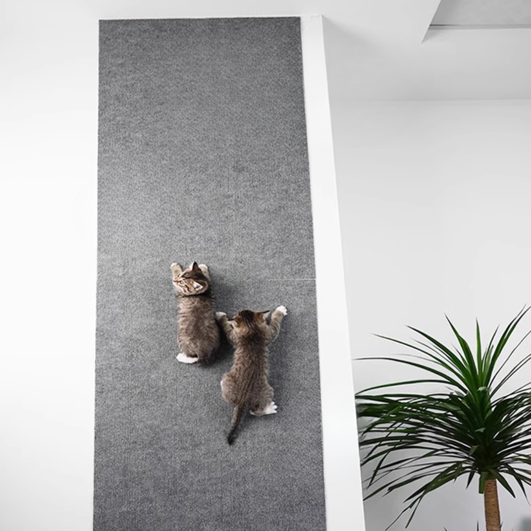 1+1 FREE | Cat Claw Catcher Satisfies Your Cat's Natural Scratching Instinct