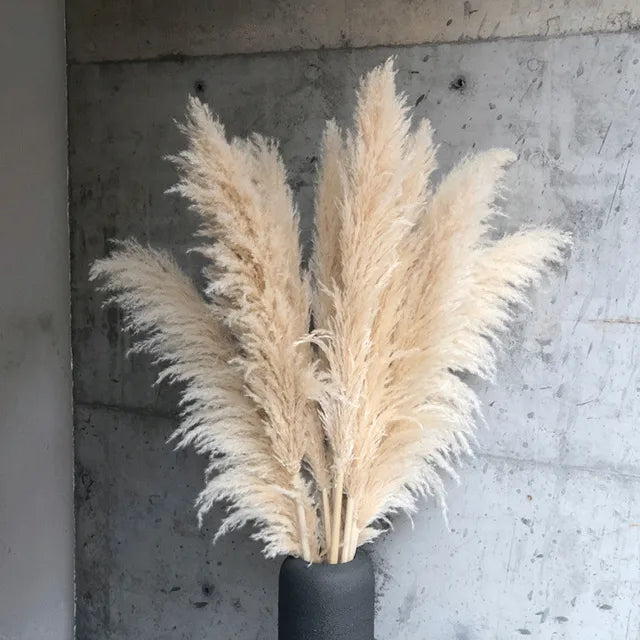 Elegant Dried Grass Stems for Chic Home Styling