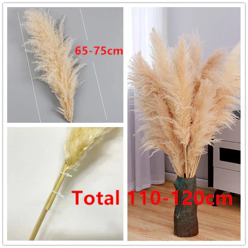 Elegant Dried Grass Stems for Chic Home Styling