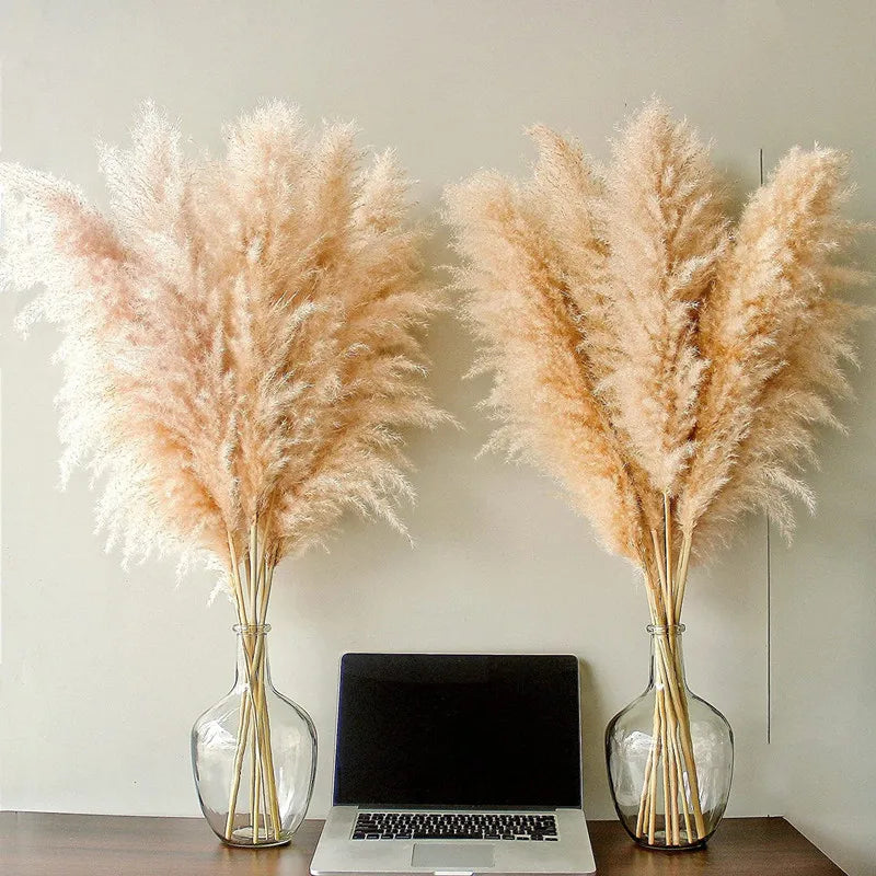 Elegant Dried Grass Stems for Chic Home Styling