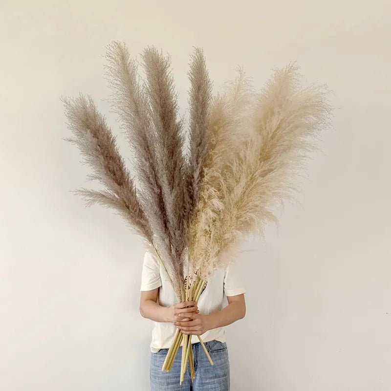 Elegant Dried Grass Stems for Chic Home Styling