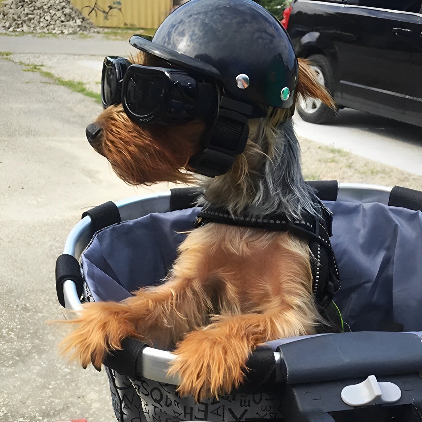 Paw Protector Helmet and Shades for Safe Dog Adventures