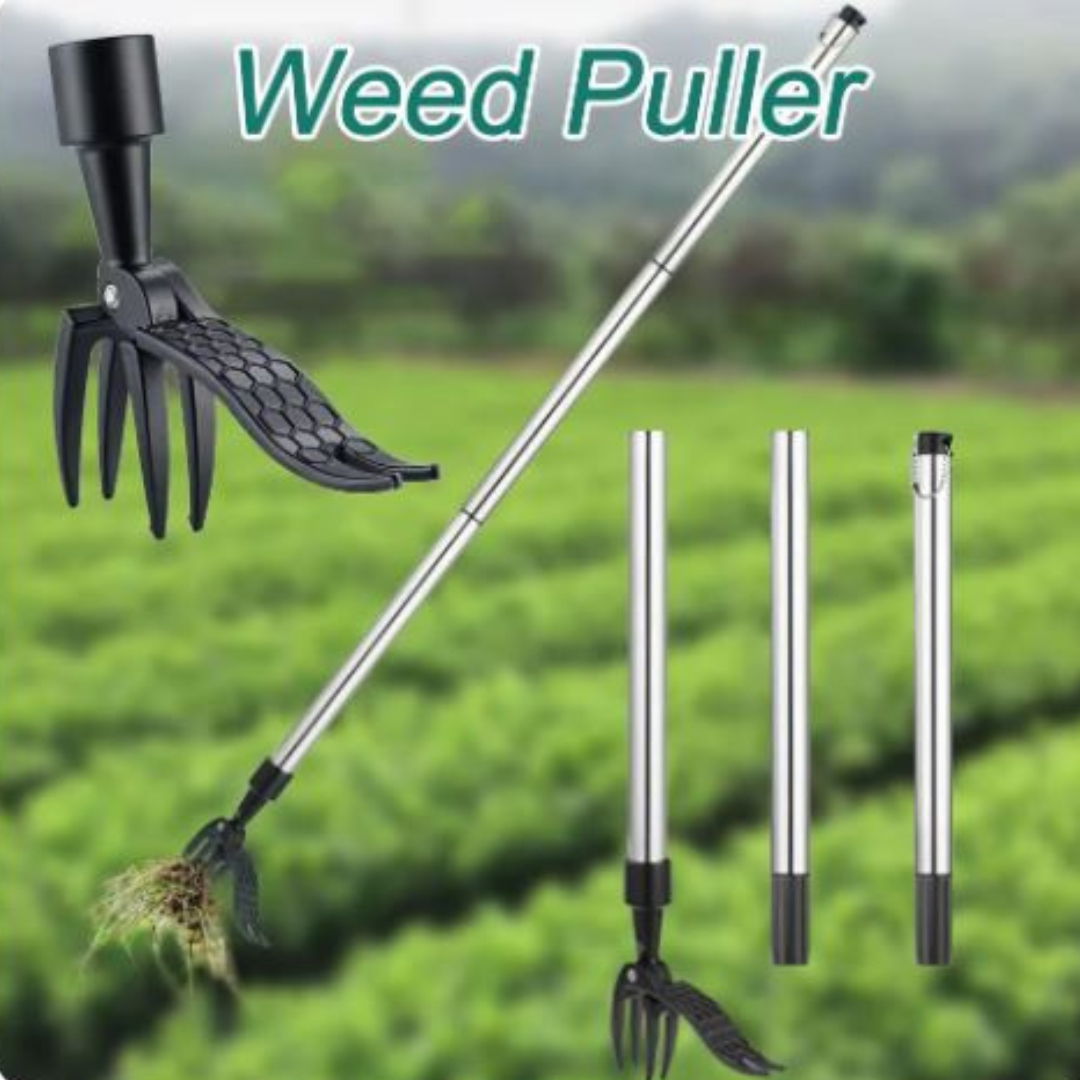 TurfMasterPro™ — Effortless Weeding That Saves Your Back and Ignites Your Garden Joy