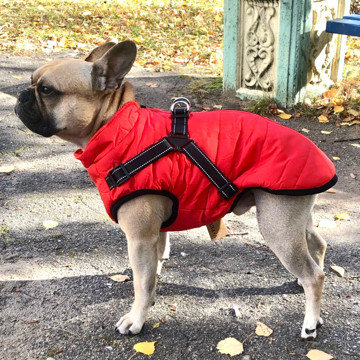 VetraGuard™ — Block Wind, Rain & Cold While Clipping Your Leash in One Move