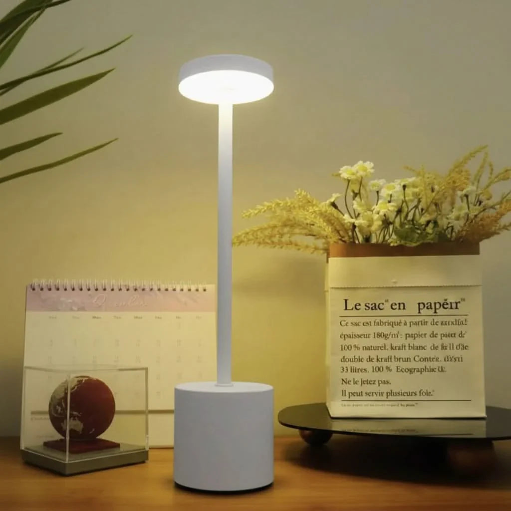 Portable LED Desk Lamp with Dimmable Light for Indoor and Outdoor Use