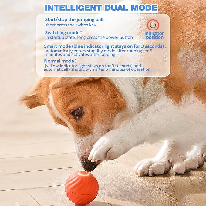 ChaseSpark™ — Ignite Your Dog’s Wild Instinct for Endless Play and Pure Joy