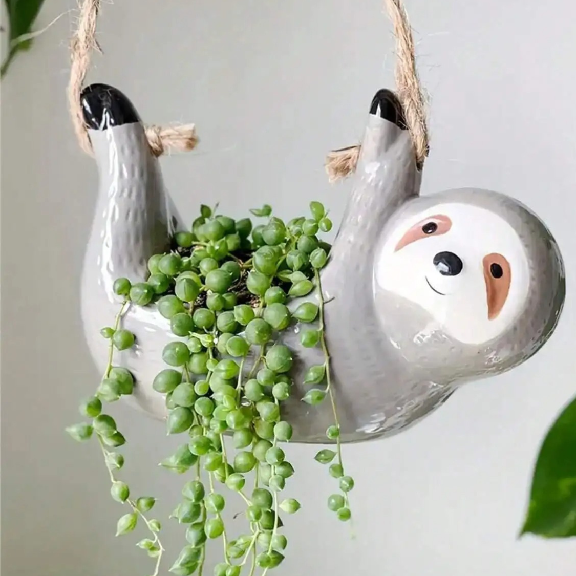 Ceramic Planter for Succulents – Hanging Design