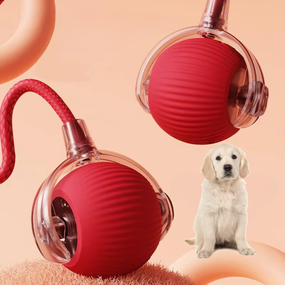 BlitzTail™ — Ignite Your Dog’s Wild Spirit for Unstoppable Joy and Energy