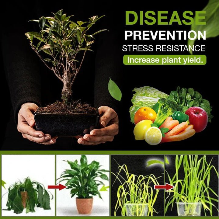 BloomPulse™ — Ignite Vibrant Growth and Transform Your Garden in Just Days