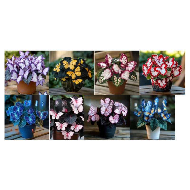 VividFlair™ Butterfly Bloom Seeds — Turn Your Garden Into a Dazzling Butterfly Wonderland That Steals Every Heart