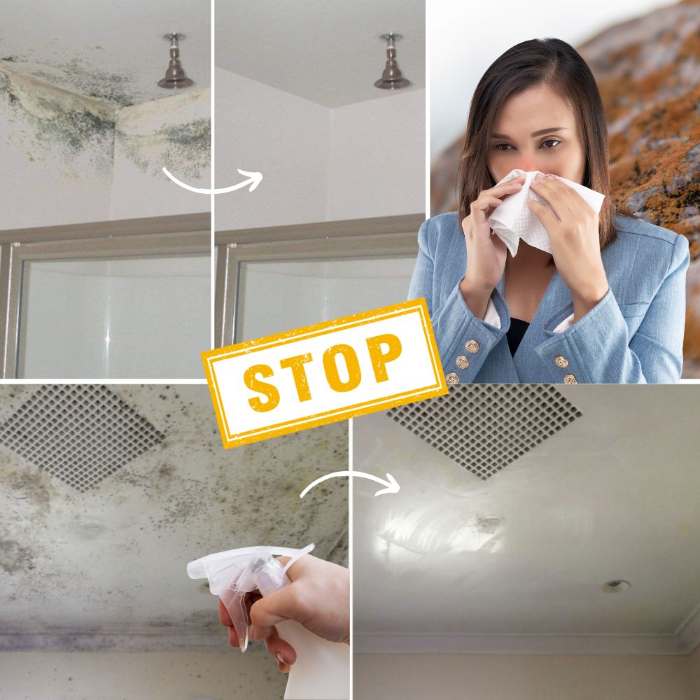 MoldVanish™ — Effortless Mold Erasure for a Healthy, Fresh Home You’ll Love