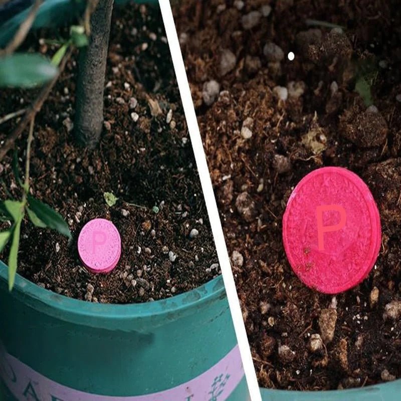 Verdanta Thrive™ — Transform Your Garden with Effortless, Long-Lasting Natural Vitality