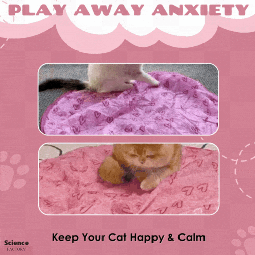 ProwlPulse™ — Unleash Your Cat’s Wild Instincts and Boundless Joy