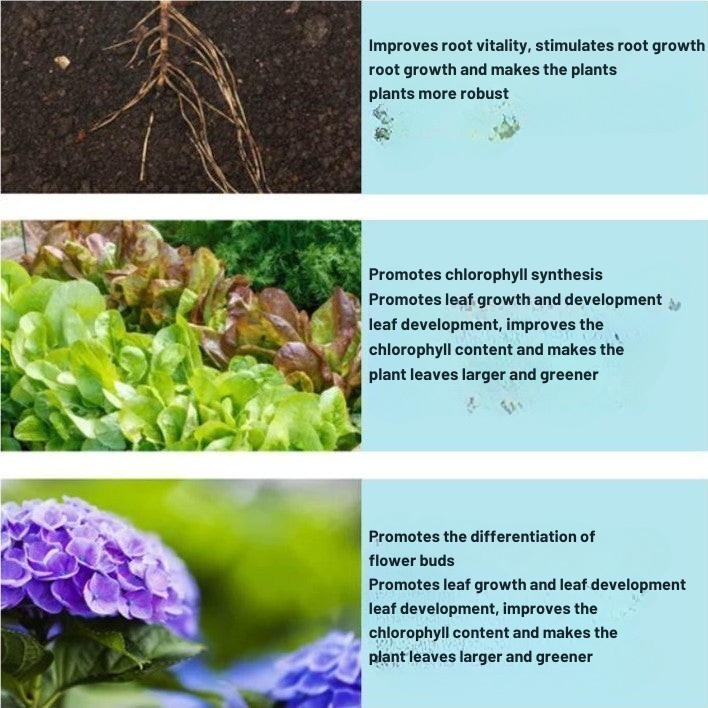 RammoBloom™ — Revive Your Plants Instantly for a Lush, Vibrant Garden You’ll Love Every Day