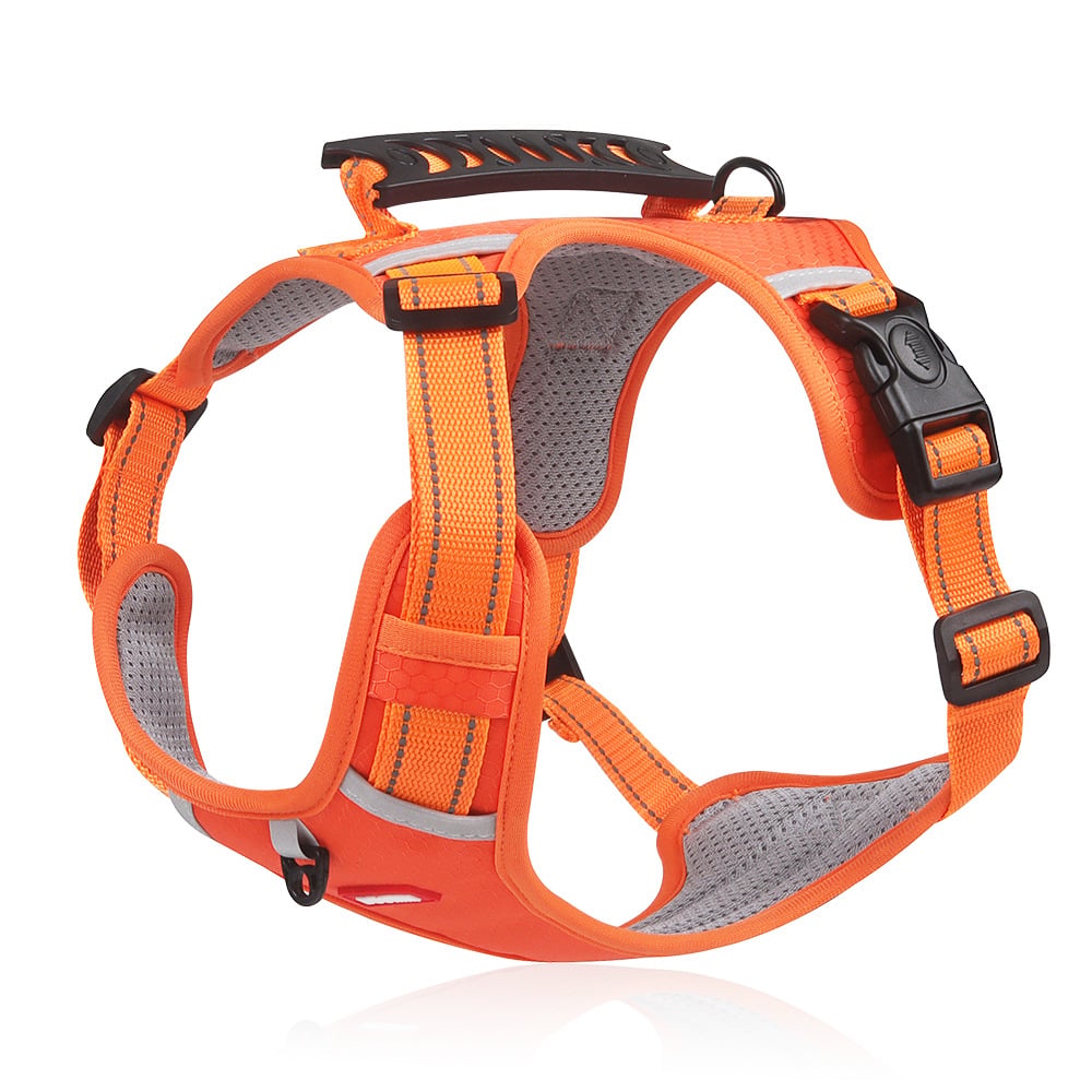 Ultimate Comfort Harness for Dogs | Reflective Safety Design