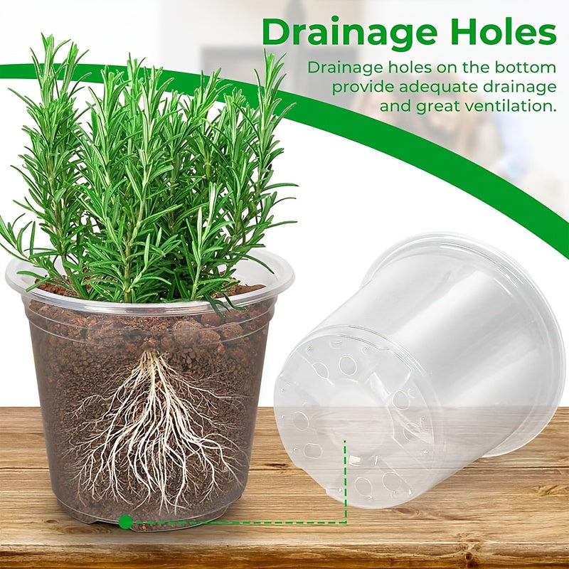 ROOTVIEW GARDEN SET – Clear Pots for Effortless Root Observation