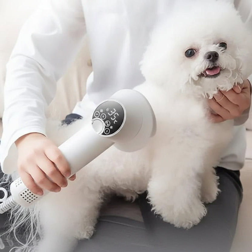 Pet-Friendly Hair Dryer for Effortless Grooming