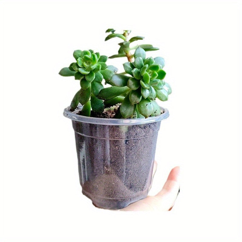 ClearView Seed Pots – 15-Pack for Effortless Seedling Growth