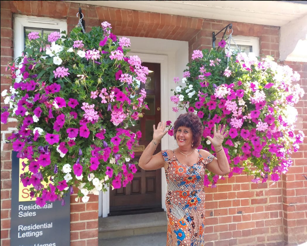 BloomVista™ — Effortless, Vibrant Blooms That Brighten Every Moment