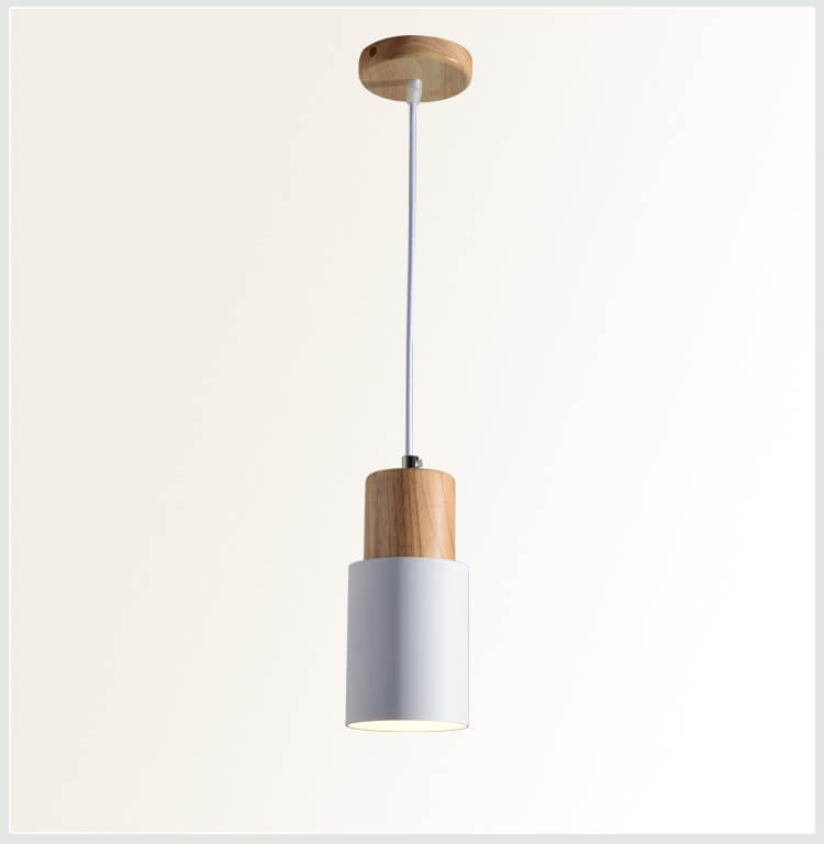 Modern Metal Pendant Light Fixture