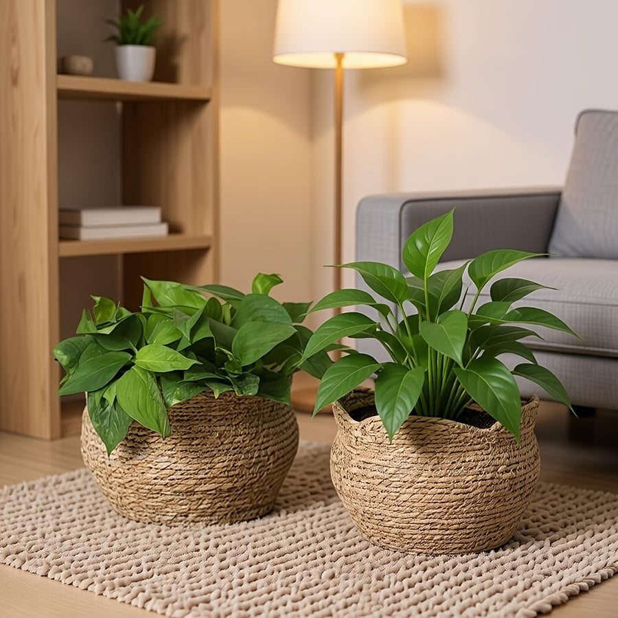 Woven Haven – Artisan Rattan Planter for Cozy Indoor Decor