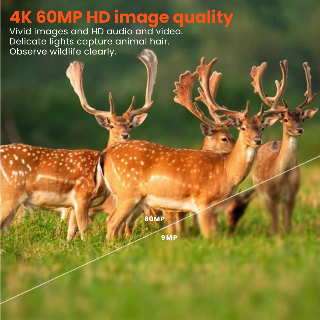 Capture Nature's Wonders with the 60MP 4K Outdoor Camera