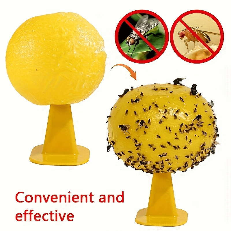 Insect Trap for Indoor and Outdoor Control of Flies and Fruit Flies