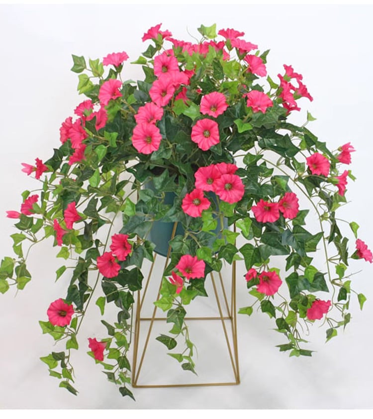 BloomVista™ — Effortless, Vibrant Blooms That Brighten Every Moment