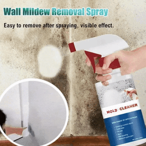 PureMoldAway™ — Instantly Restore a Safe, Fresh Home Free from Mold and Odors