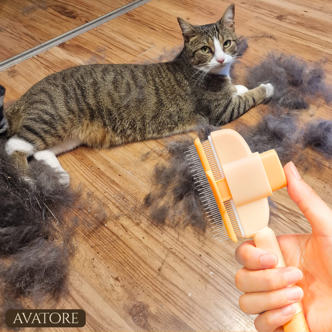 SereniPaw™ — Turn Grooming Into Your Cat’s Most Loved Moment of Calm and Connection
