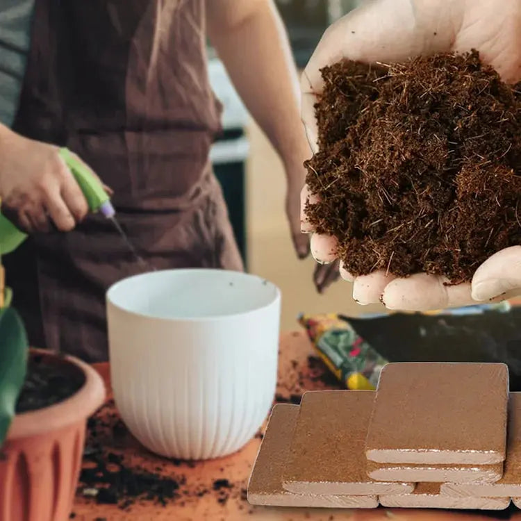 TerraBurst™ Organic Coconut Coir — Unlock Lush, Flourishing Roots That Energize Every Plant