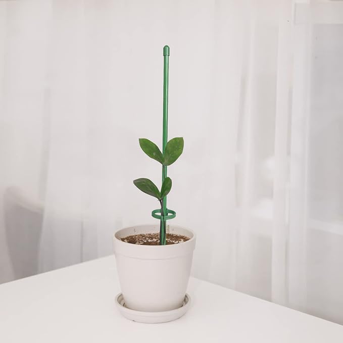 StellaStem™ — Rock-Solid Support for Plants That Rise Strong and Proud