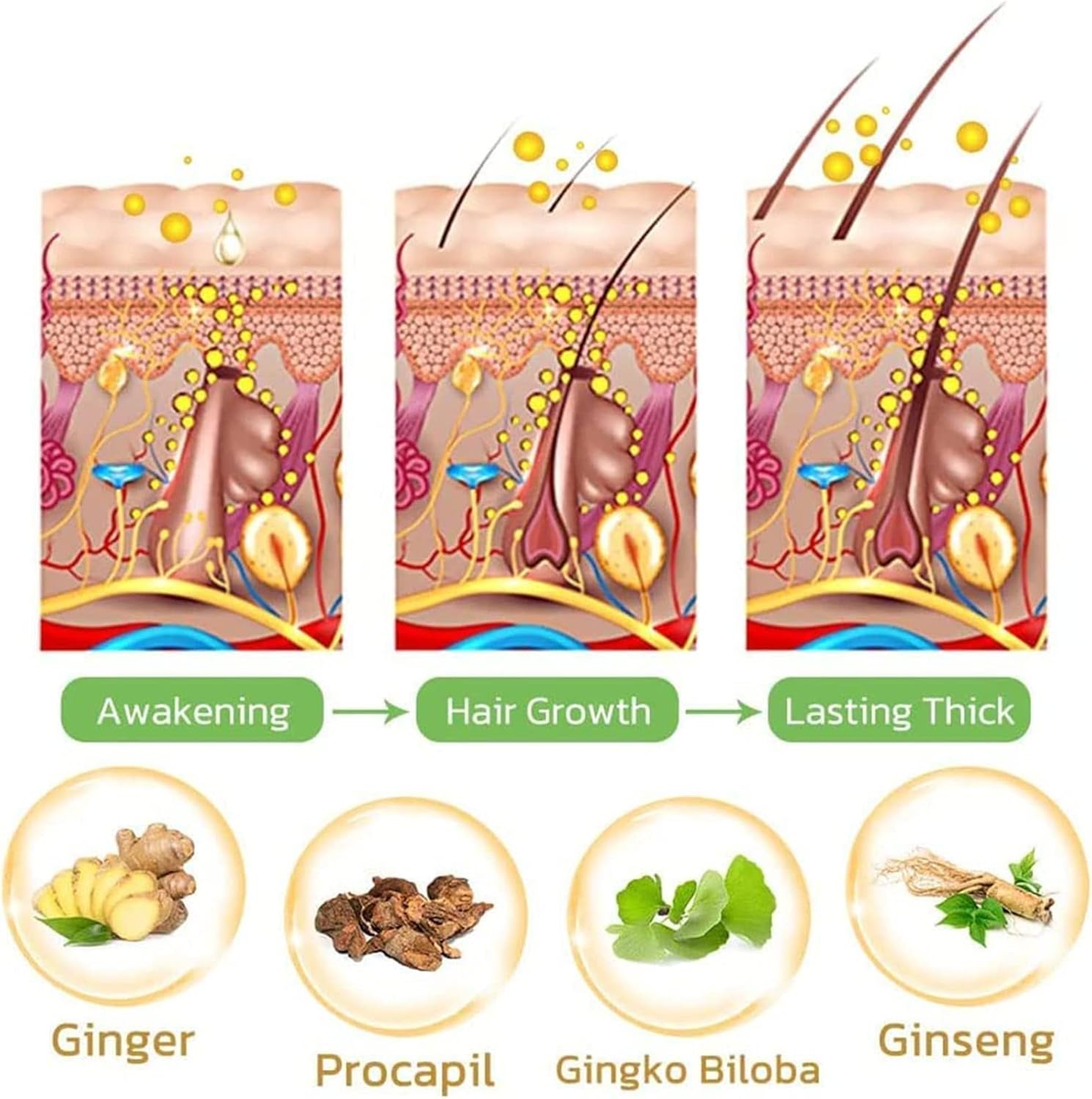 RamoraRoot™ — Ignite Dormant Hair Follicles for Thick, Head-Turning Confidence