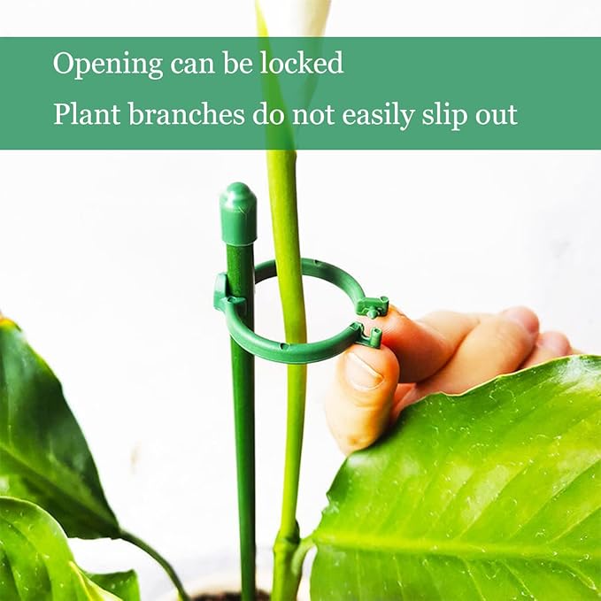 StellaStem™ — Rock-Solid Support for Plants That Rise Strong and Proud