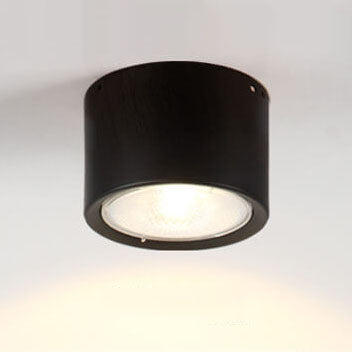 LED Cylinder Ceiling Spotlight