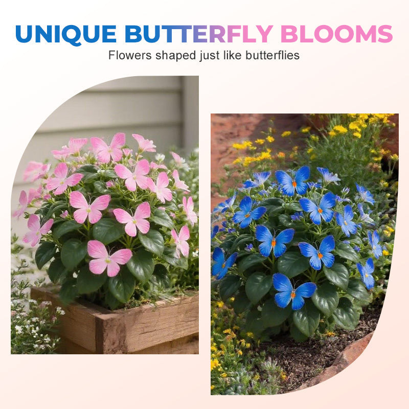 VividFlair™ Butterfly Bloom Seeds — Turn Your Garden Into a Dazzling Butterfly Wonderland That Steals Every Heart