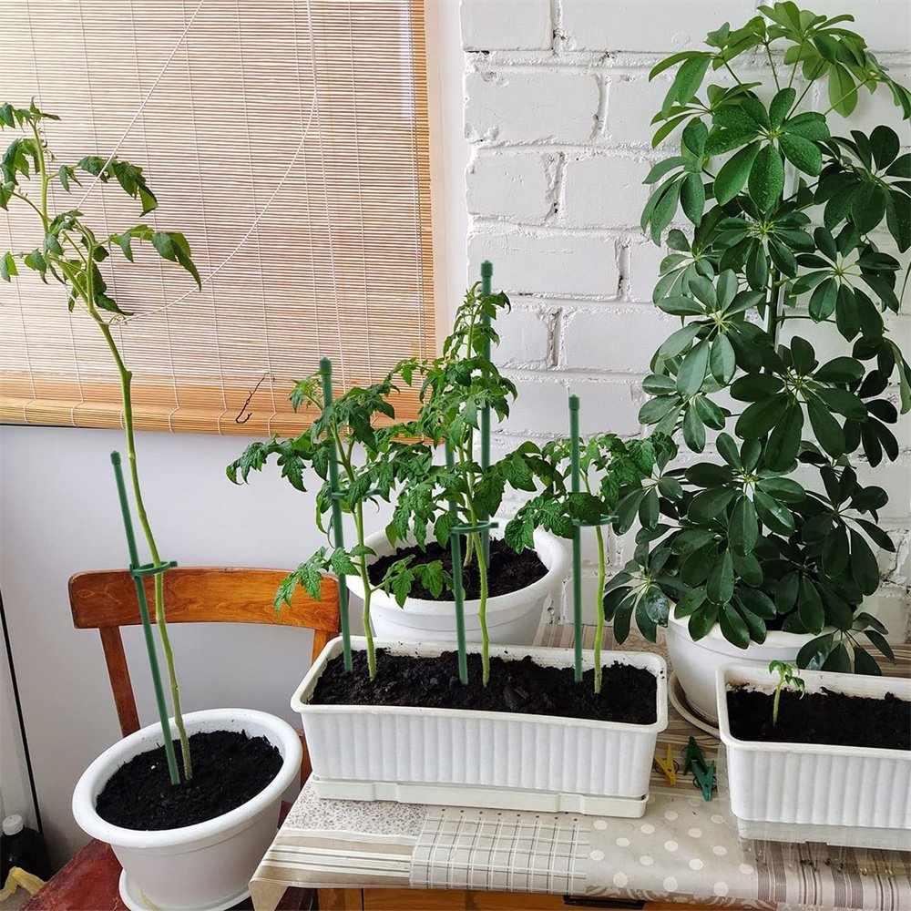 StellaStem™ — Rock-Solid Support for Plants That Rise Strong and Proud