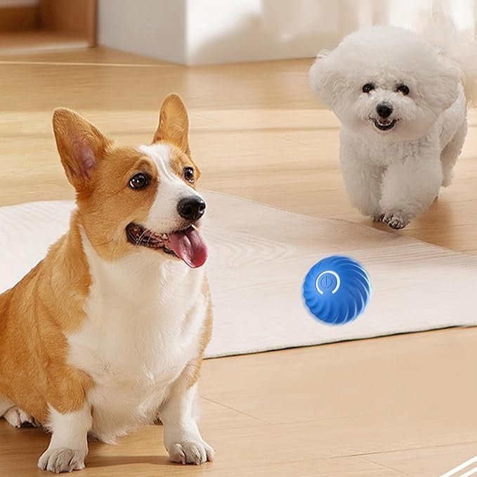 ChaseSpark™ — Ignite Your Dog’s Wild Instinct for Endless Play and Pure Joy