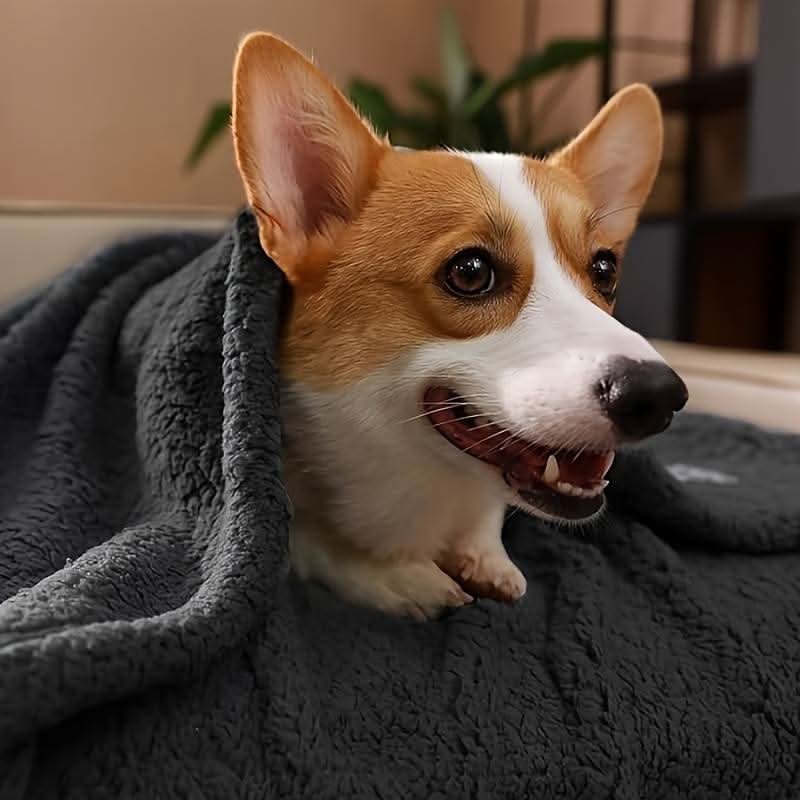 Luxurious Fleece Blanket for Pets - Ultimate Comfort