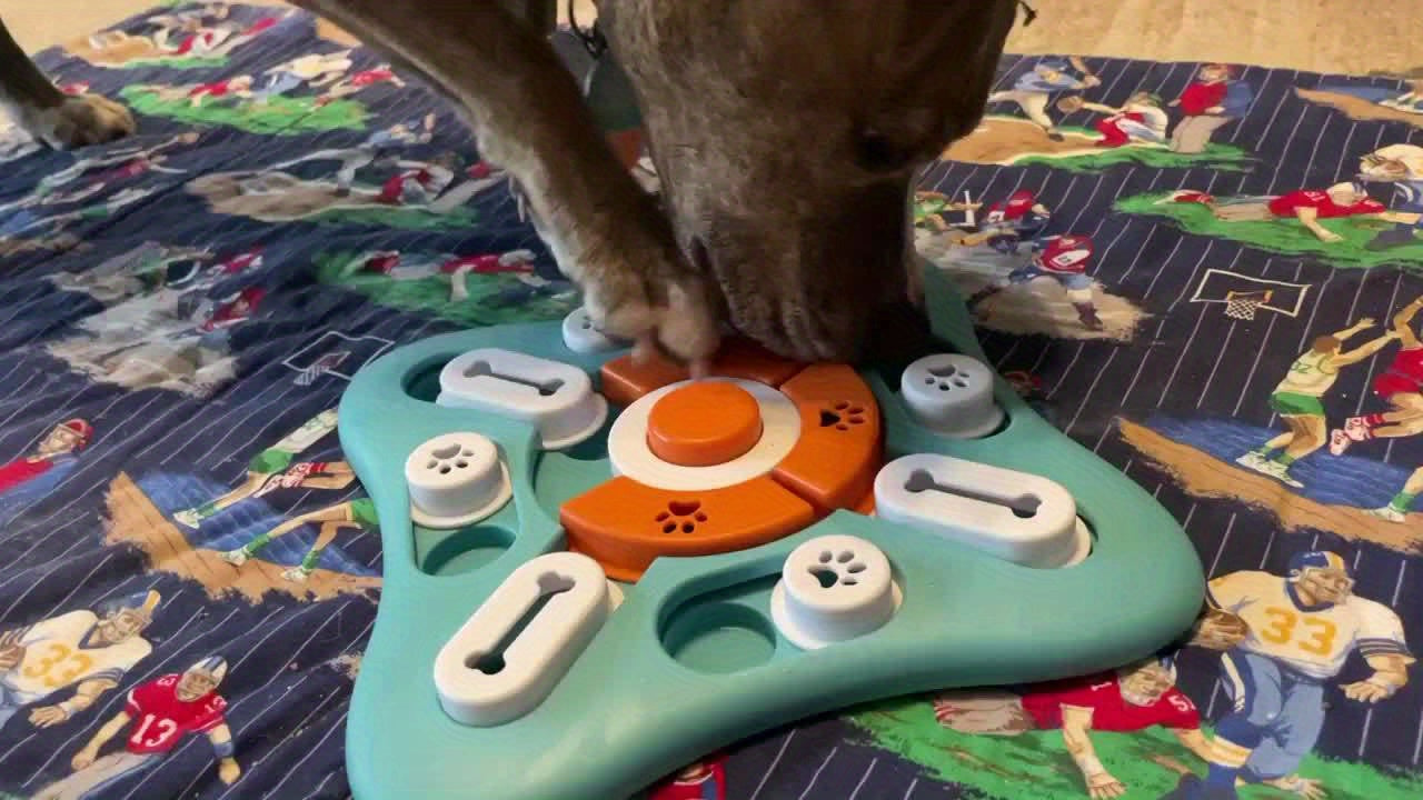CleverCanine Puzzle Feeder – Engaging Slow Feeding Toy for Dogs