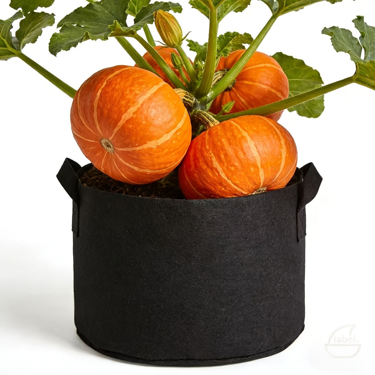 EcoGrow Fabric Planter Bags for Thriving Root Systems