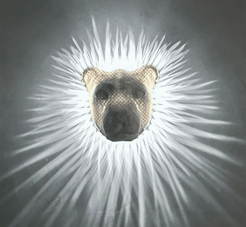 IllumiSphere™ — Ignite Wonder and Bring Stunning 3D Magic to Every Room