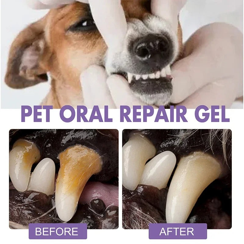 VitaPawSmile™ — Transform Your Pet’s Breath and Comfort into Endless Cuddles