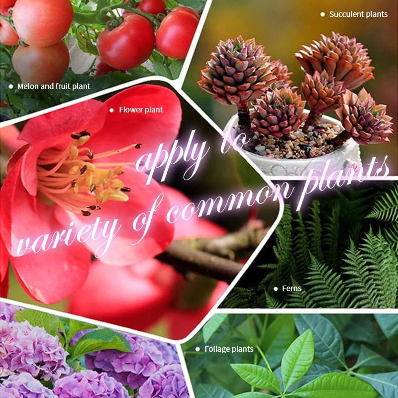 Verdanta Thrive™ — Transform Your Garden with Effortless, Long-Lasting Natural Vitality